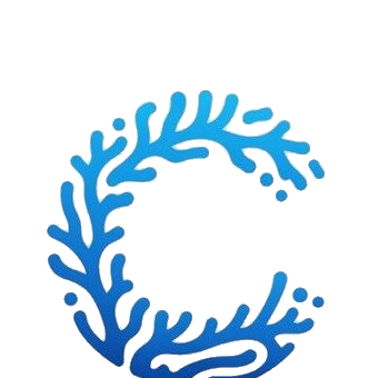 Coral Car Rental Bonaire