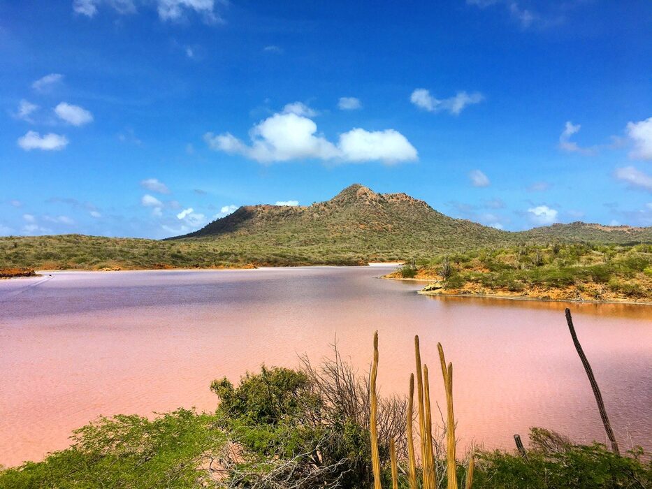 Roze meer met heuvels op Bonaire